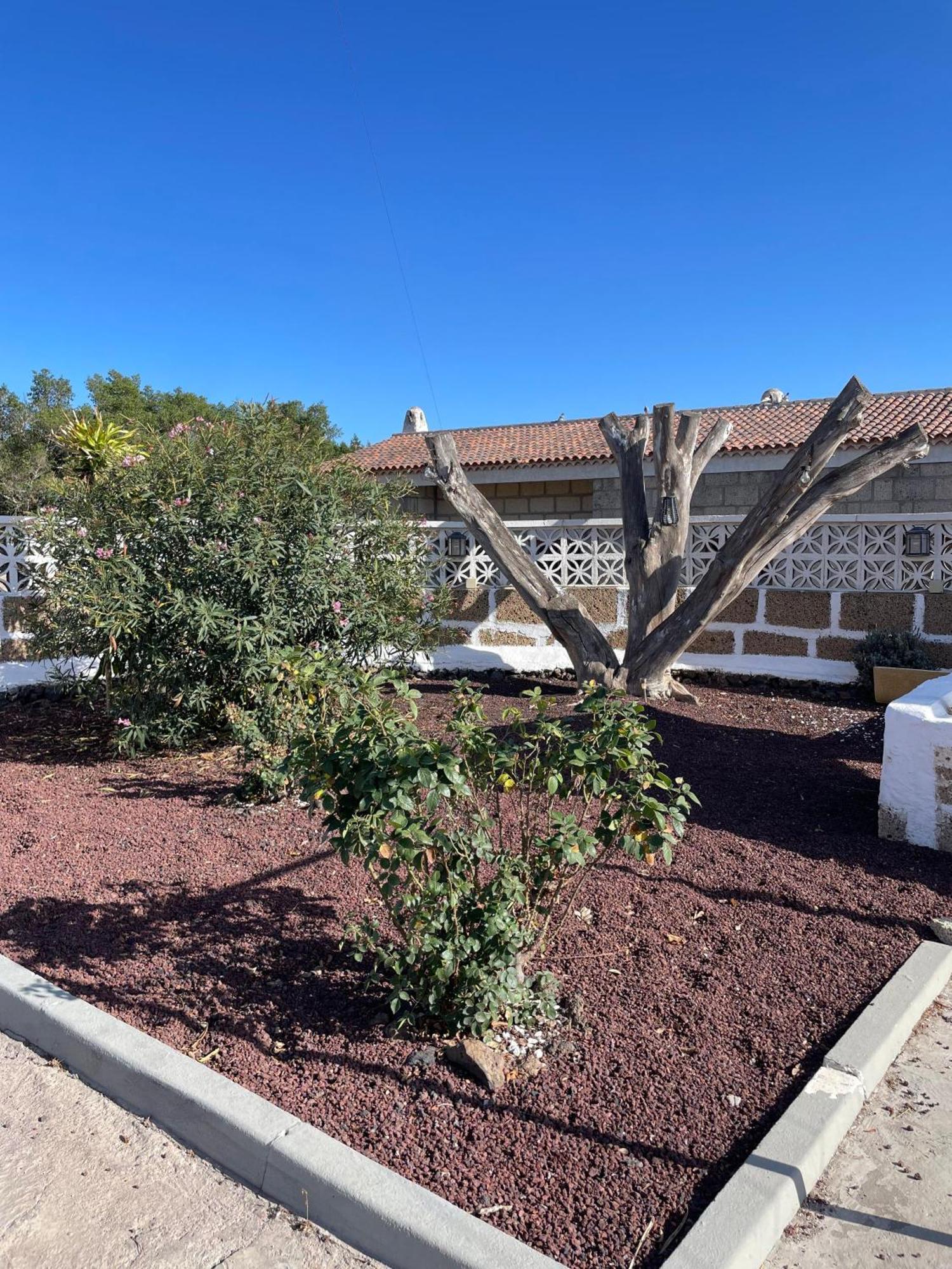 Casa Don Daniel Villa Arona  Eksteriør bilde